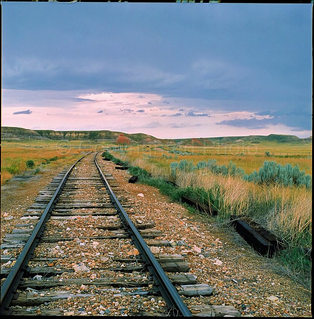 Tracks to no where