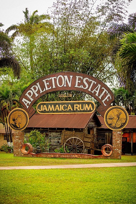 jamaica, jeremy johnson photography, appleton estate